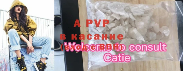 индика Богородск