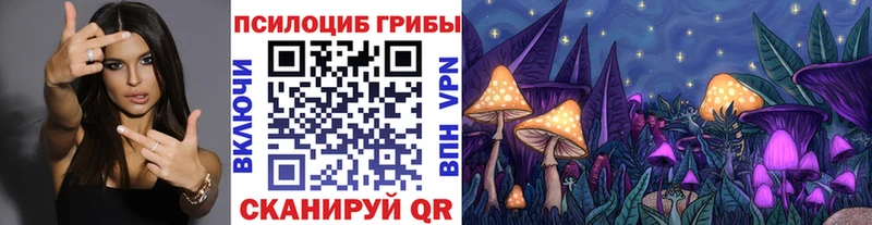 Галлюциногенные грибы ЛСД Камызяк