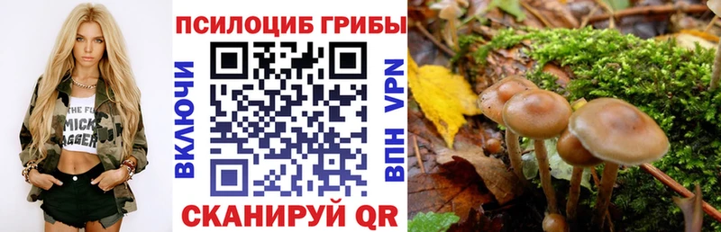 Псилоцибиновые грибы Magic Shrooms Камызяк
